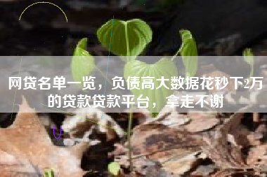 网贷名单一览，负债高大数据花秒下2万的贷款贷款平台，拿走不谢