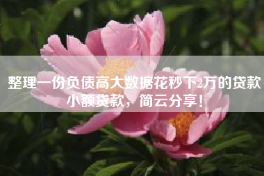 整理一份负债高大数据花秒下2万的贷款小额贷款，简云分享！
