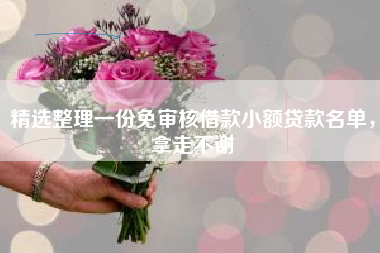 精选整理一份免审核借款小额贷款名单，拿走不谢