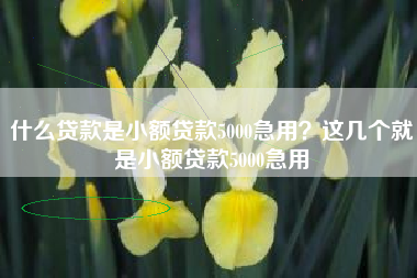什么贷款是小额贷款5000急用？这几个就是小额贷款5000急用