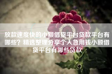 放款速度快的小额借贷平台贷款平台有哪些？精选整理分享个人急用钱小额借贷平台有哪些贷款