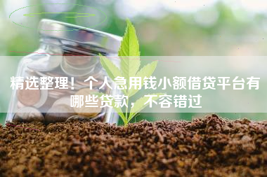 精选整理！个人急用钱小额借贷平台有哪些贷款，不容错过