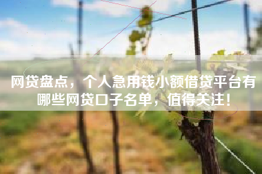 网贷盘点，个人急用钱小额借贷平台有哪些网贷口子名单，值得关注！