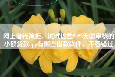 网上借钱被拒，试试这些2022无需审核的小额贷款app有哪些借款软件，不容错过