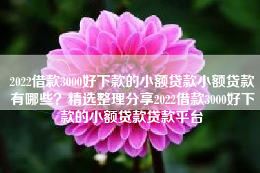 2022借款3000好下款的小额贷款小额贷款有哪些？精选整理分享2022借款3000好下款的小额贷款贷款平台