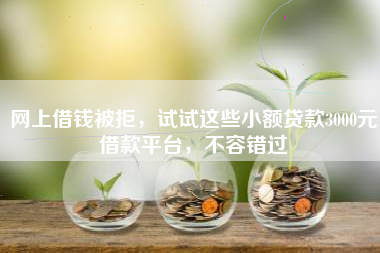 网上借钱被拒，试试这些小额贷款3000元借款平台，不容错过