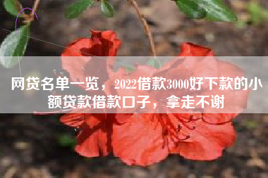 网贷名单一览，2022借款3000好下款的小额贷款借款口子，拿走不谢