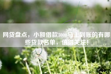 网贷盘点，小额借款3000马上到账的有哪些贷款名单，值得关注！