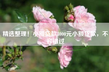 精选整理！小额贷款3000元小额贷款，不容错过