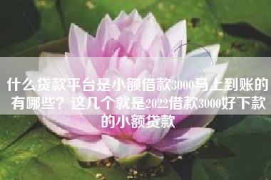 什么贷款平台是小额借款3000马上到账的有哪些？这几个就是2022借款3000好下款的小额贷款