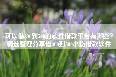 可以借300到500的软件借款平台有哪些？精选整理分享借300到500小贷借款软件