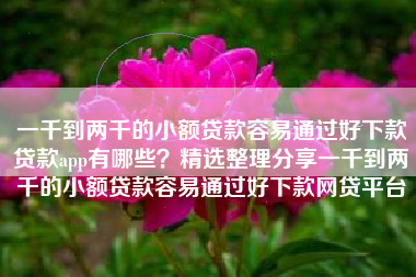 一千到两千的小额贷款容易通过好下款贷款app有哪些？精选整理分享一千到两千的小额贷款容易通过好下款网贷平台