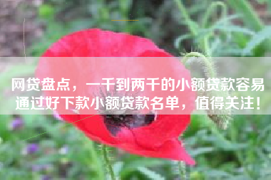 网贷盘点，一千到两千的小额贷款容易通过好下款小额贷款名单，值得关注！