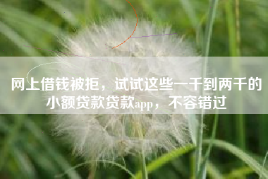 网上借钱被拒，试试这些一千到两千的小额贷款贷款app，不容错过