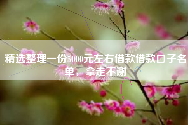 精选整理一份5000元左右借款借款口子名单，拿走不谢