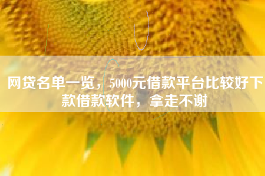 网贷名单一览，5000元借款平台比较好下款借款软件，拿走不谢