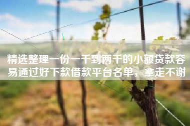 精选整理一份一千到两千的小额贷款容易通过好下款借款平台名单，拿走不谢