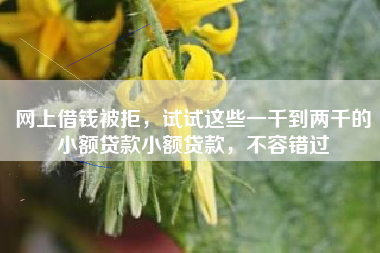 网上借钱被拒，试试这些一千到两千的小额贷款小额贷款，不容错过