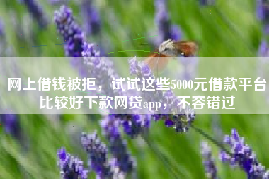网上借钱被拒，试试这些5000元借款平台比较好下款网贷app，不容错过