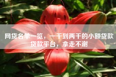 网贷名单一览，一千到两千的小额贷款贷款平台，拿走不谢