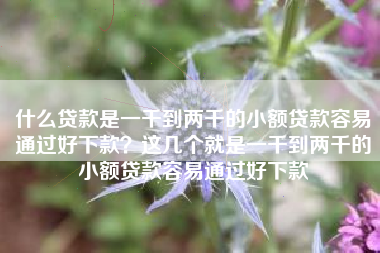 什么贷款是一千到两千的小额贷款容易通过好下款？这几个就是一千到两千的小额贷款容易通过好下款