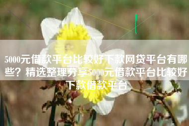 5000元借款平台比较好下款网贷平台有哪些？精选整理分享5000元借款平台比较好下款借款平台