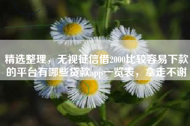 精选整理，无视征信借2000比较容易下款的平台有哪些贷款app一览表，拿走不谢
