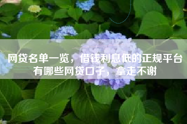 网贷名单一览，借钱利息低的正规平台有哪些网贷口子，拿走不谢