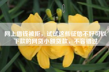 网上借钱被拒，试试这些征信不好可以下款的网贷小额贷款，不容错过