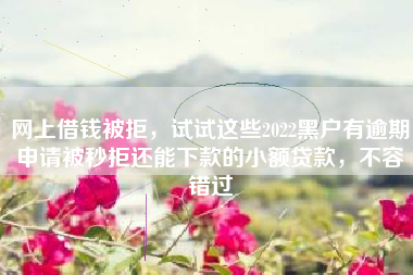 网上借钱被拒，试试这些2022黑户有逾期申请被秒拒还能下款的小额贷款，不容错过