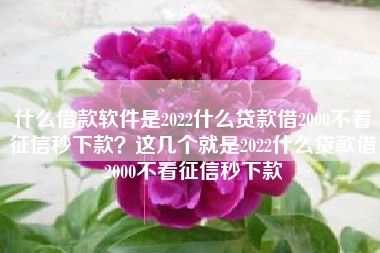 什么借款软件是2022什么贷款借2000不看征信秒下款？这几个就是2022什么贷款借2000不看征信秒下款