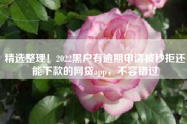 精选整理！2022黑户有逾期申请被秒拒还能下款的网贷app，不容错过
