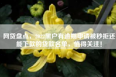 网贷盘点，2022黑户有逾期申请被秒拒还能下款的贷款名单，值得关注！