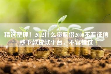 精选整理！2022什么贷款借2000不看征信秒下款贷款平台，不容错过