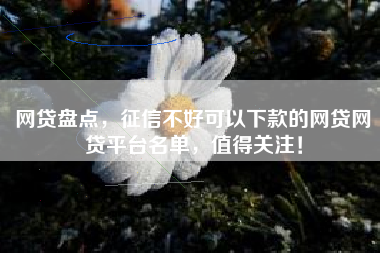 网贷盘点，征信不好可以下款的网贷网贷平台名单，值得关注！
