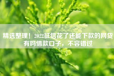 精选整理！2022征信花了还能下款的网贷有吗借款口子，不容错过