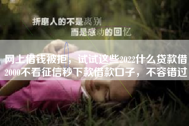 网上借钱被拒，试试这些2022什么贷款借2000不看征信秒下款借款口子，不容错过