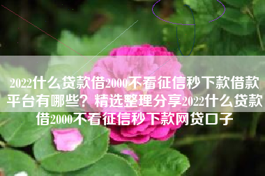 2022什么贷款借2000不看征信秒下款借款平台有哪些？精选整理分享2022什么贷款借2000不看征信秒下款网贷口子