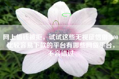 网上借钱被拒，试试这些无视征信借2000比较容易下款的平台有哪些网贷平台，不容错过