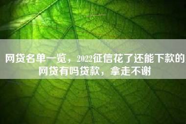 网贷名单一览，2022征信花了还能下款的网贷有吗贷款，拿走不谢