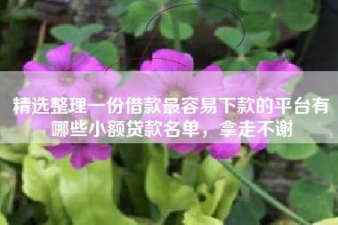 精选整理一份借款最容易下款的平台有哪些小额贷款名单，拿走不谢