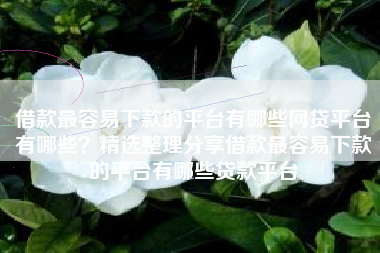借款最容易下款的平台有哪些网贷平台有哪些？精选整理分享借款最容易下款的平台有哪些贷款平台