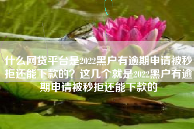 什么网贷平台是2022黑户有逾期申请被秒拒还能下款的？这几个就是2022黑户有逾期申请被秒拒还能下款的