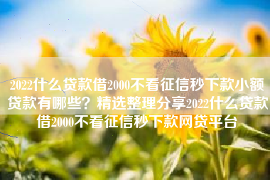 2022什么贷款借2000不看征信秒下款小额贷款有哪些？精选整理分享2022什么贷款借2000不看征信秒下款网贷平台