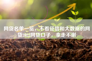 网贷名单一览，不看征信和大数据的网贷2022网贷口子，拿走不谢