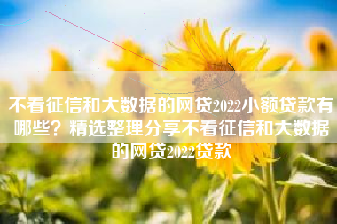 不看征信和大数据的网贷2022小额贷款有哪些？精选整理分享不看征信和大数据的网贷2022贷款
