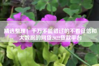 精选整理！千万不能错过的不看征信和大数据的网贷2022贷款平台