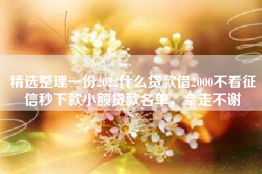 精选整理一份2022什么贷款借2000不看征信秒下款小额贷款名单，拿走不谢