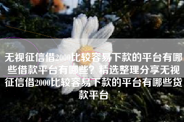 无视征信借2000比较容易下款的平台有哪些借款平台有哪些？精选整理分享无视征信借2000比较容易下款的平台有哪些贷款平台