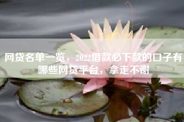 网贷名单一览，2022借款必下款的口子有哪些网贷平台，拿走不谢